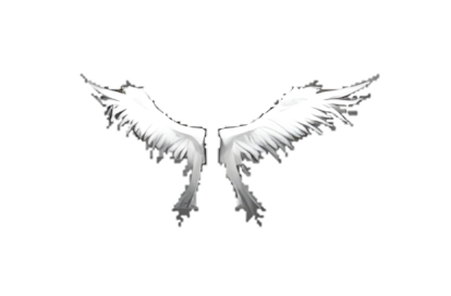 Wings of Heaven