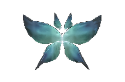 Wings of Spirits